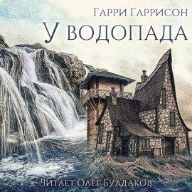 Книга У водопада