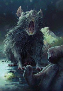 Книга Город крыс