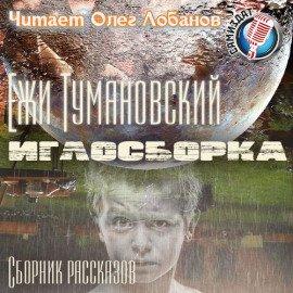 Книга Иглосборка