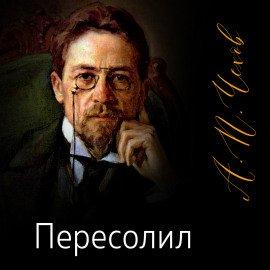 Книга Пересолил