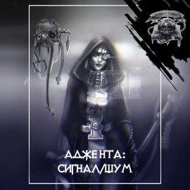 Книга Сигнал/шум