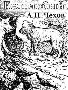 Книга Белолобый