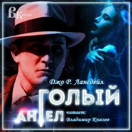 Книга Голый ангел
