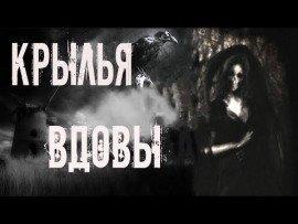 Книга Крылья вдовы