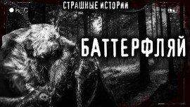 Книга Баттерфляй