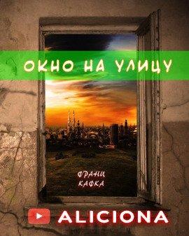 Книга Окно на улицу