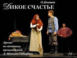 Книга Дикое счастье