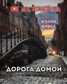 Книга Дорога домой