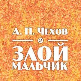 Книга Злой мальчик
