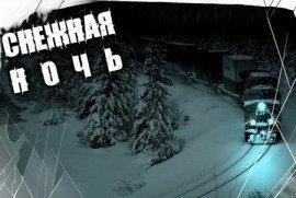 Книга Снежная ночь