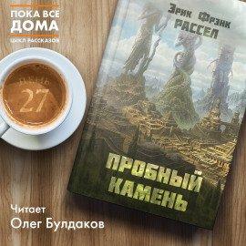 Книга Пробный камень