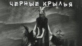 Книга Чёрные крылья