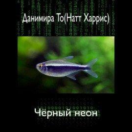 Книга Чёрный неон