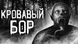 Книга Кровавый бор