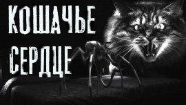 Книга Кошачье сердце