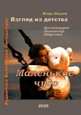 Книга Маленькое чудо