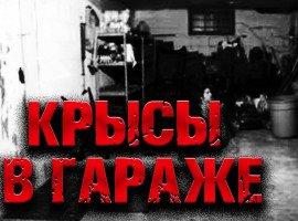Книга Крысы в гараже
