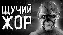 Книга Щучий жор