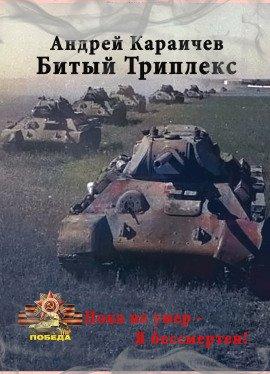Книга Битый триплекс