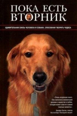 Книга Пока есть Вторник