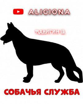 Книга Собачья служба