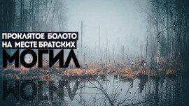 Книга Багровое болото