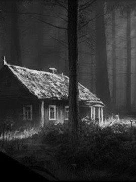 Книга Комбриговы дачи
