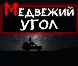 Книга Медвежий угол