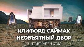 Книга Необъятный двор