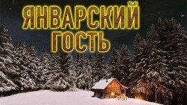 Книга Январский гость
