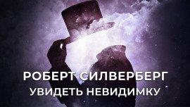 Книга Увидеть невидимку