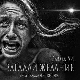 Книга Загадай желание