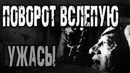Книга Поворот вслепую