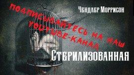 Книга Стерилизованная