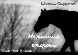 Книга Истинная сторона