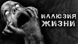 Книга Иллюзия жизни