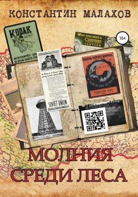 Книга Молния среди леса