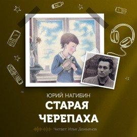 Книга Старая черепаха
