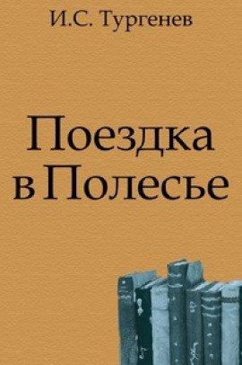 Книга Поездка в Полесье