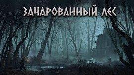 Книга Зачарованный лес