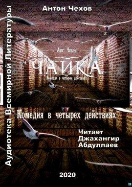 Книга Чайка