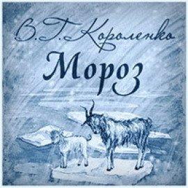 Книга Мороз