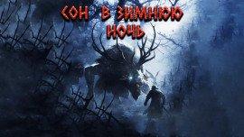 Книга Сон в зимнюю ночь