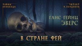 Книга В стране фей