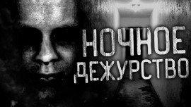 Книга Ночное дежурство