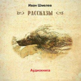 Книга Последний выстрел