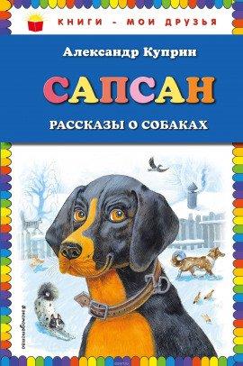 Книга Сапсан
