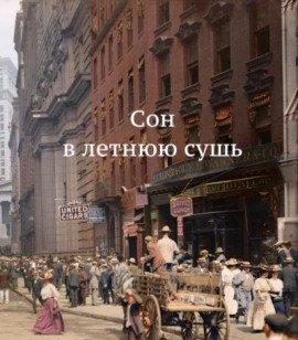 Книга Сон в летнюю сушь