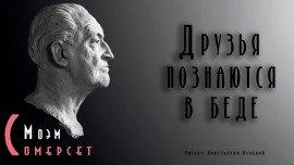Книга Друзья познаются в беде