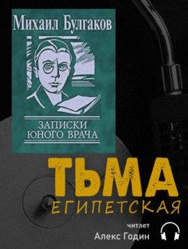 Книга Тьма египетская